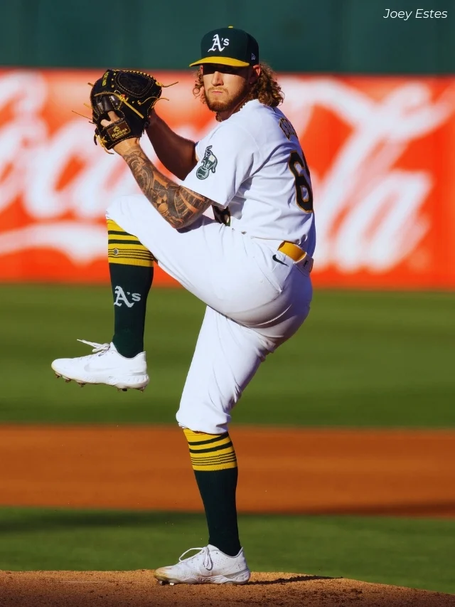 6 Surprising Joey Estes Facts You Have To Know